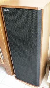 Enceinte Ditton 66 avec façade